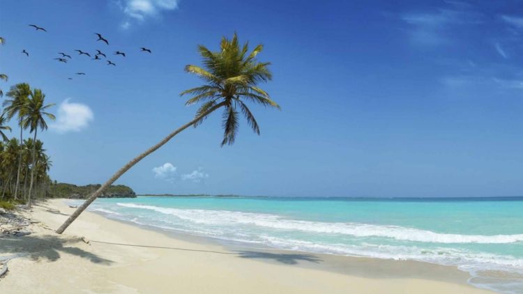 cayman islands financing